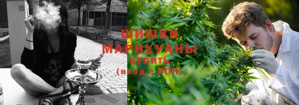гидропоника Белоозёрский